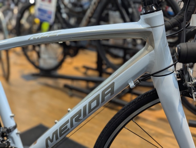 PXL_20251224_031929777.PORTRAIT