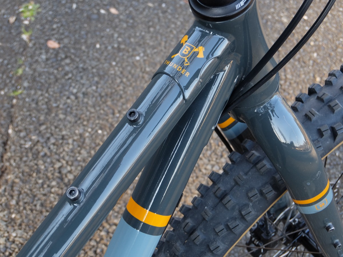 image_6483441-9-e1674804001231