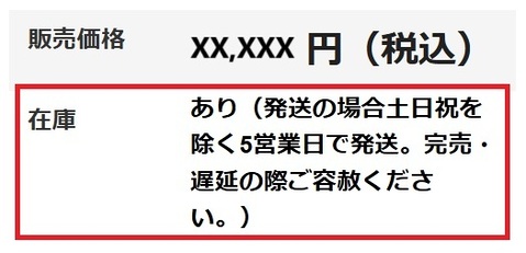 表示例 「在庫あり（発送の場合土日祝を除く5営業日で発送。完売・遅延の際ご容赦ください。）」