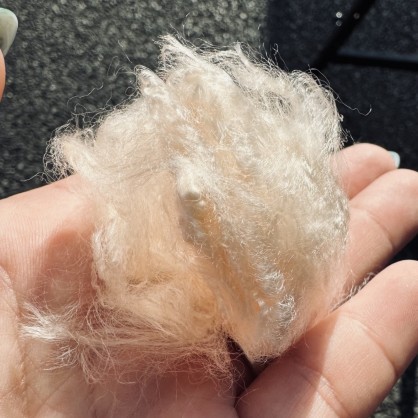 ブレスサーモの原糸