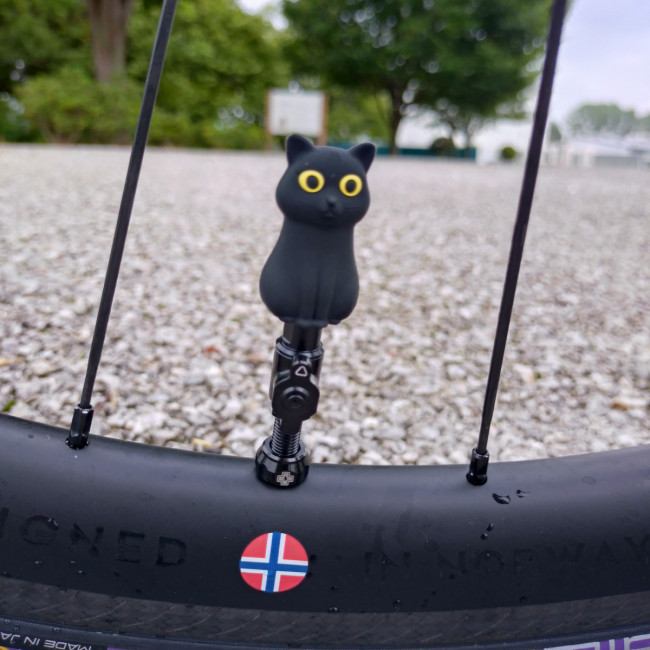 20250813_070131-e1755157744435