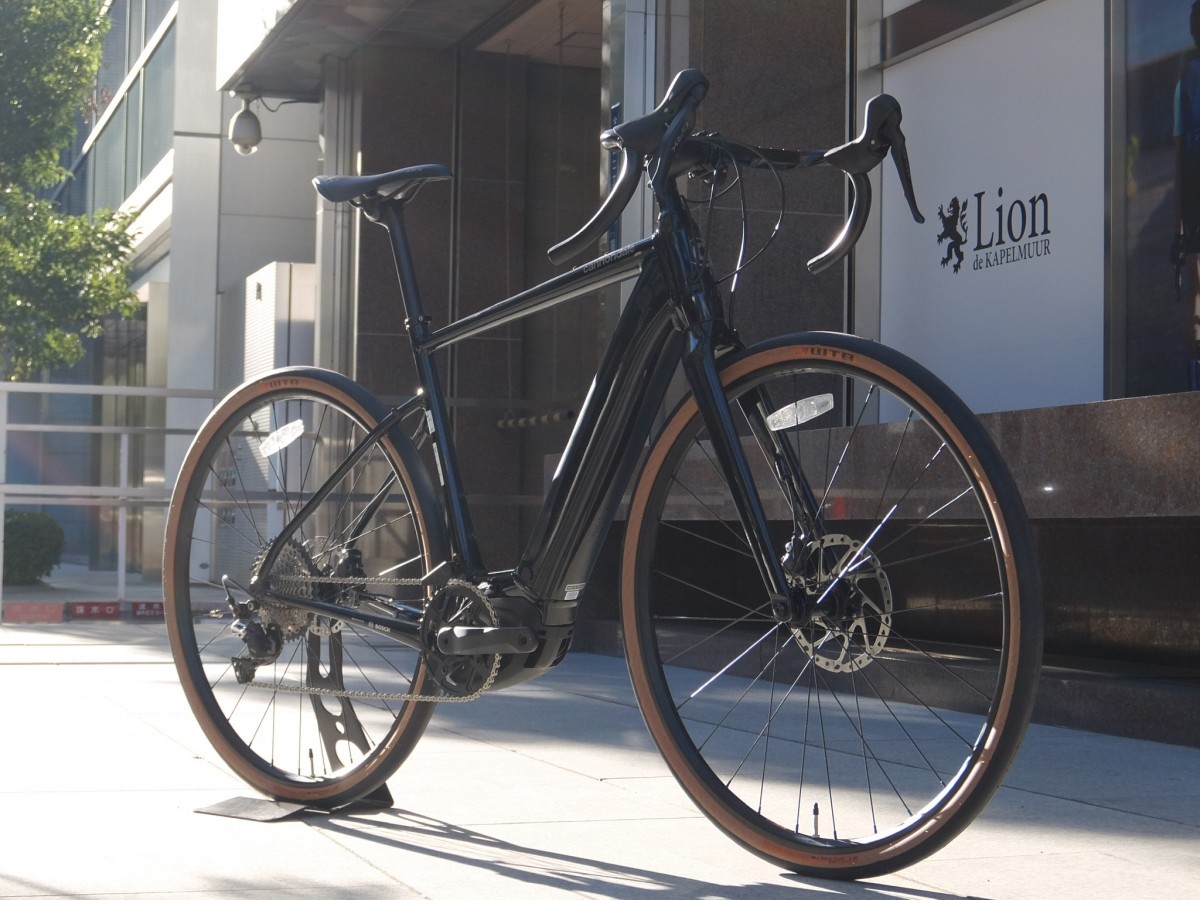 image_6483441-1-e1679736706592