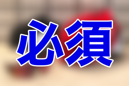 da456ed3-6c63-4ca8-aedd-5d23ffdcce1d-e1574245481630