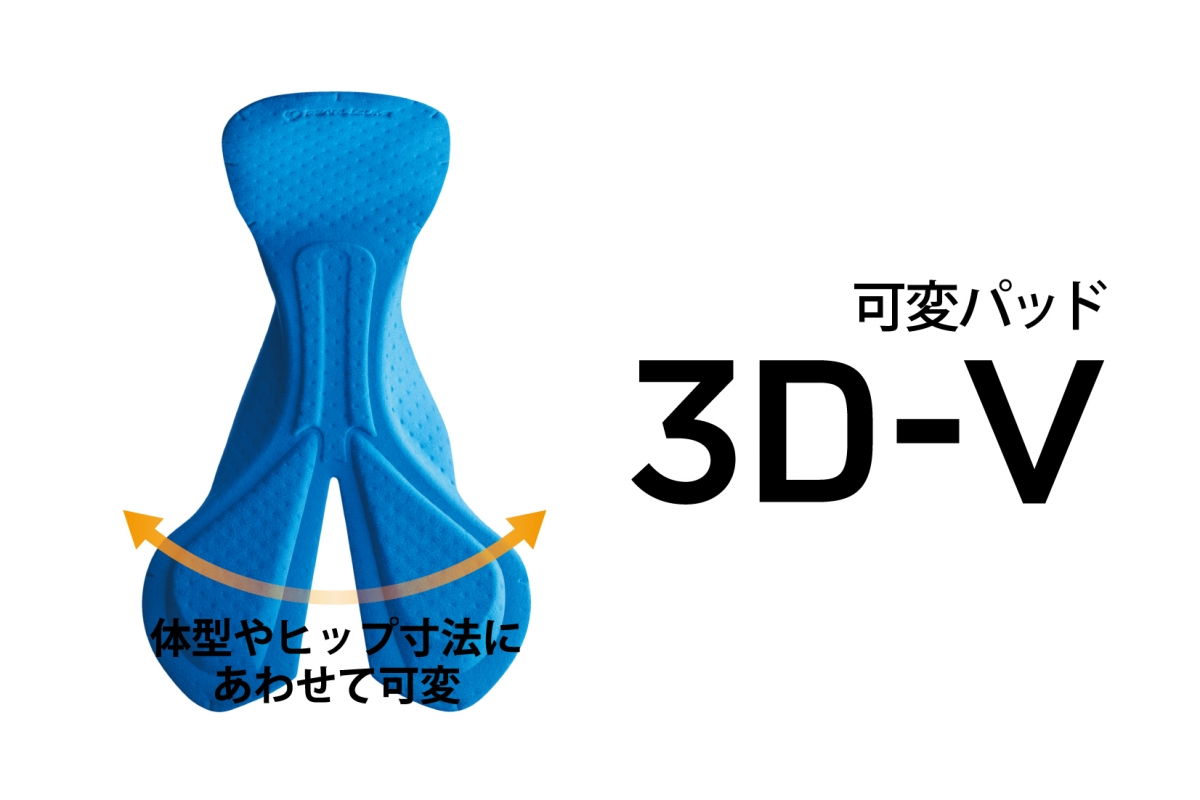 3d-v_image