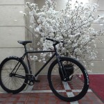 FUJI】 希少在庫になってしまった実用系ピストバイク | 大阪で自転車を