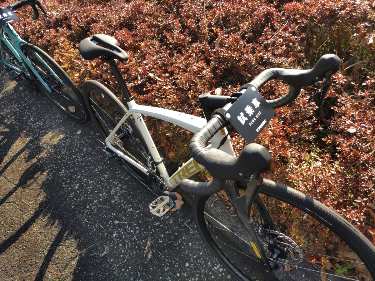 [スタッフ試乗会]×[TREK]やっぱり乗りやすい名車[Domane AL 4 Disc] | 大阪で自転車をお探しならY