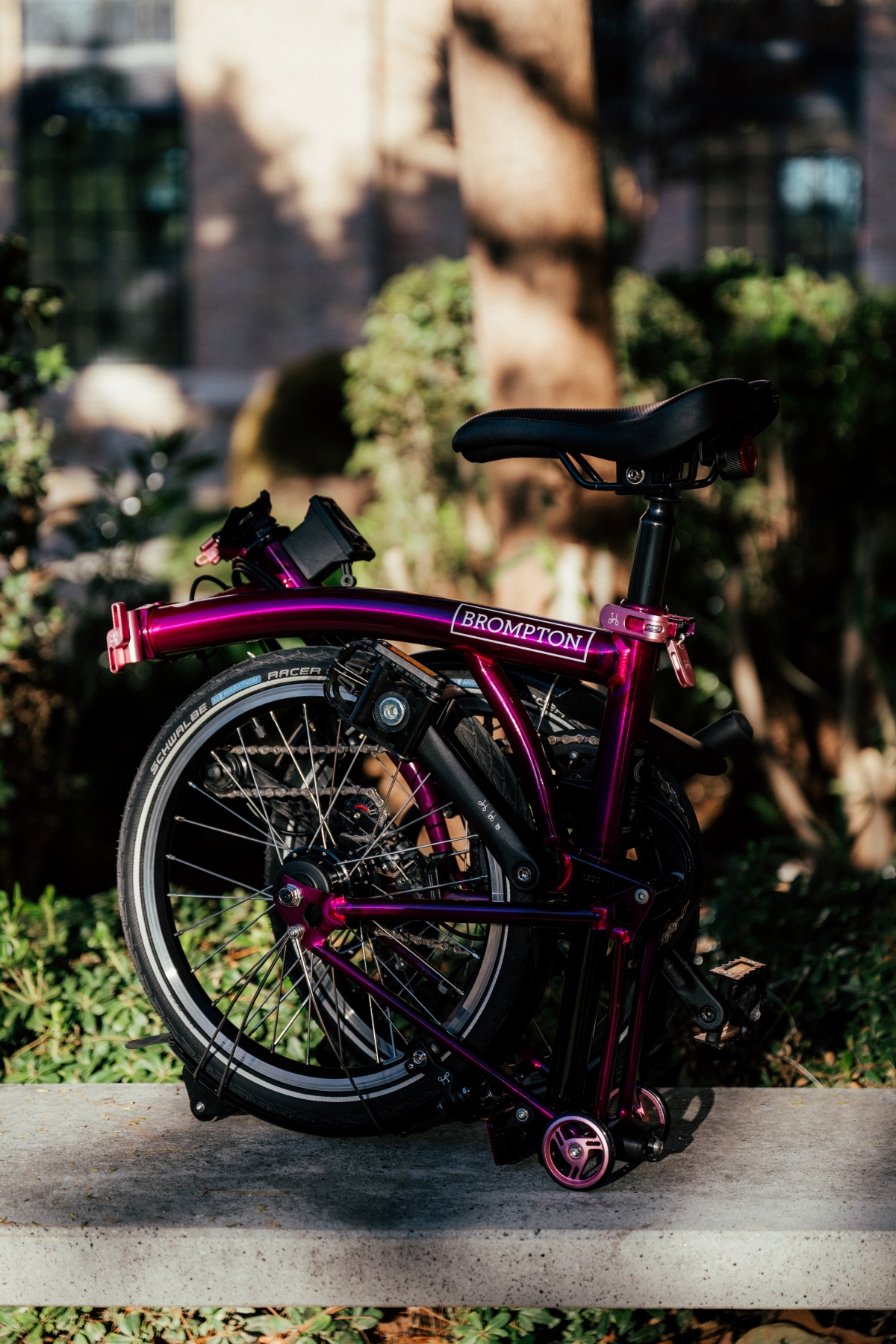 【BROMPTON】P LINE購入でカラータッチポイントプレゼントキャンペーン開始！【8/31まで】 | 大阪で自転車をお探しならY's Road 大阪本館