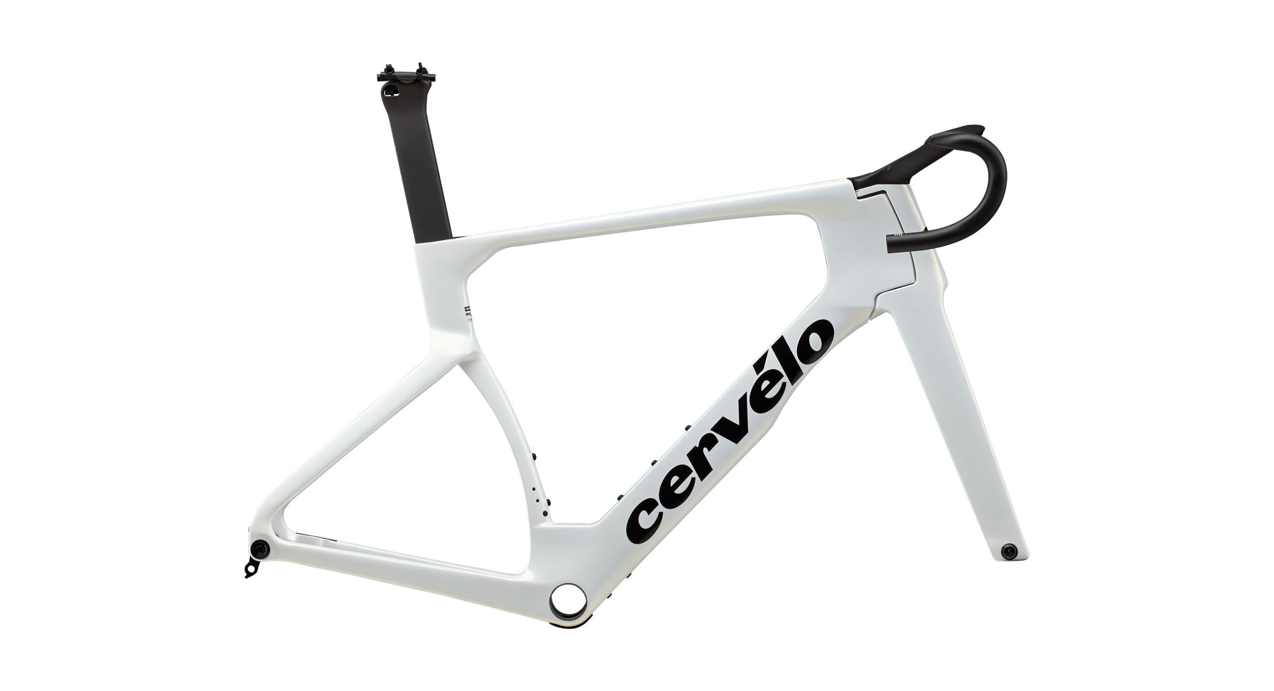 aFxeOXfc4bHWiuqd_0L0S5GXR2C-PROFILE-Web9-scaled