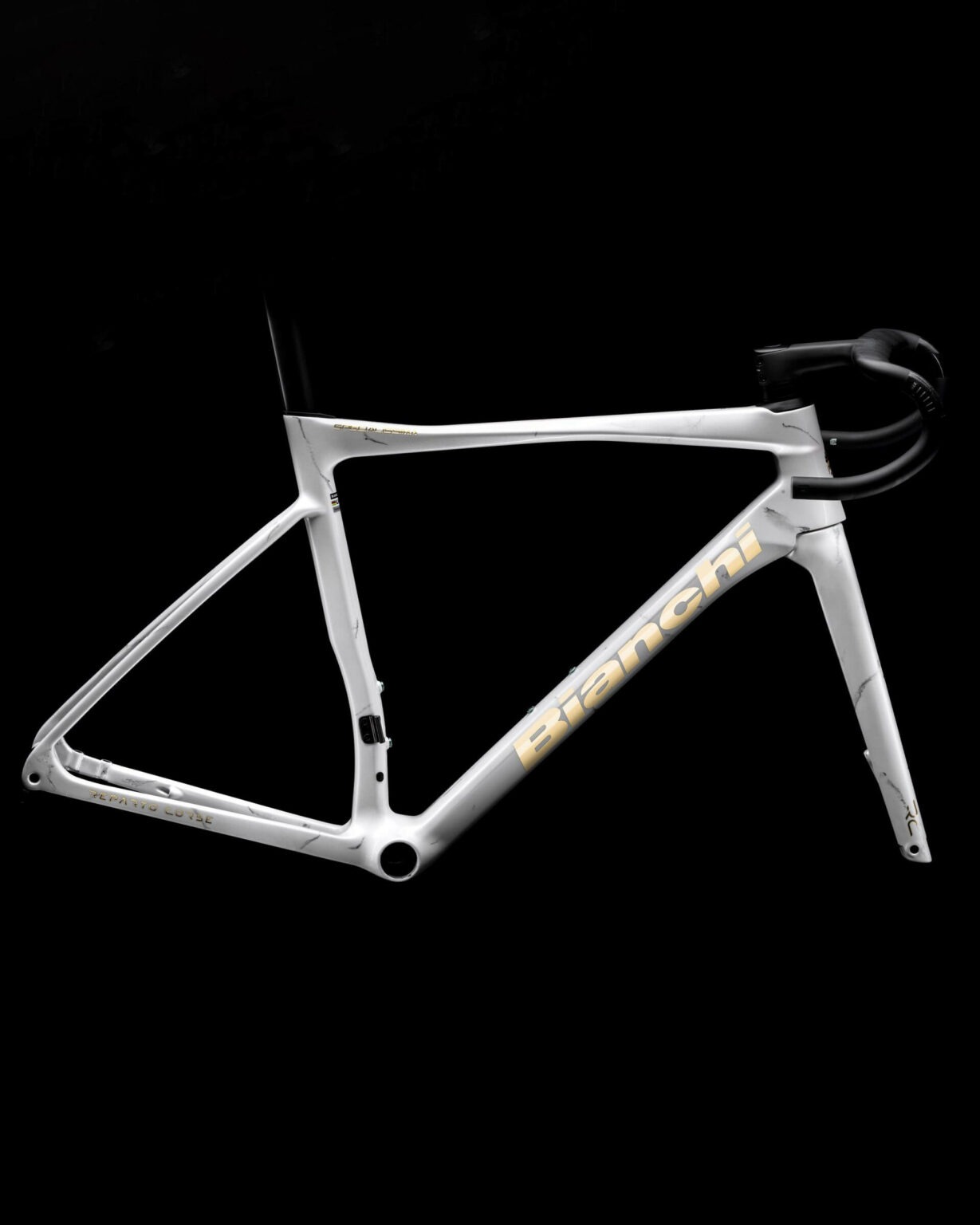 canova-5-1920x2400-1-1229x1536