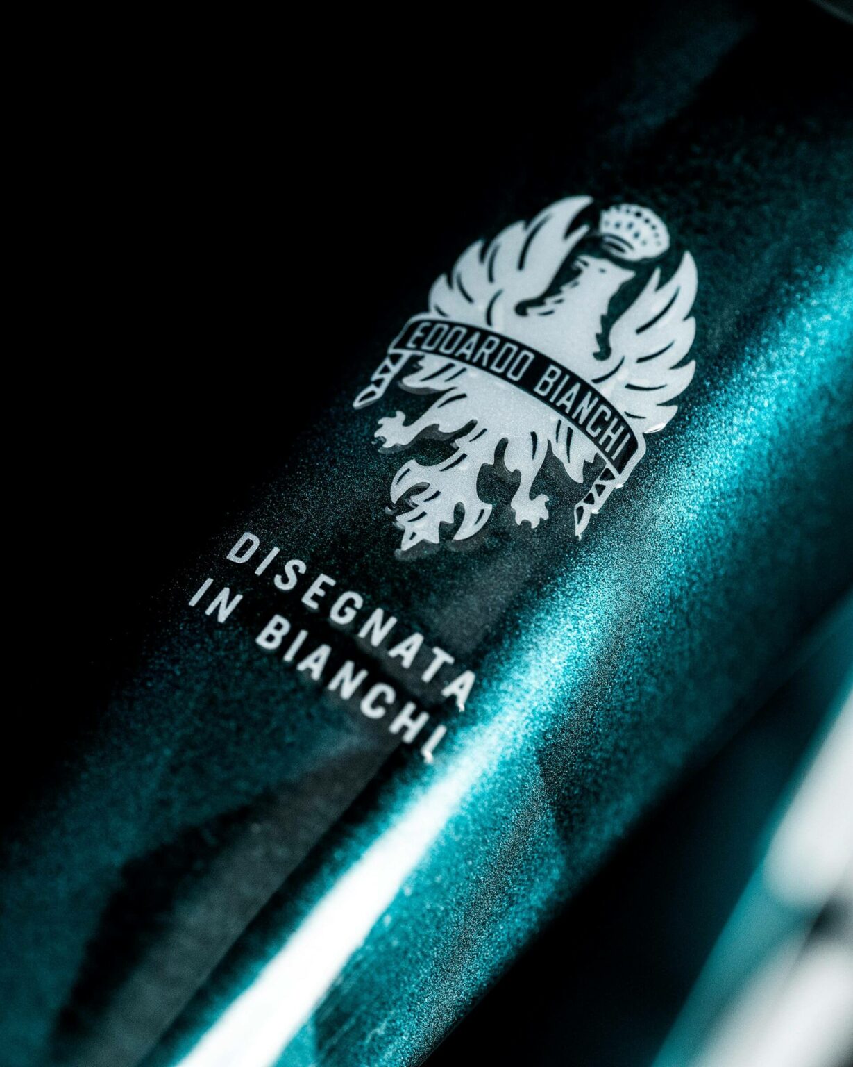 chameleon-3-1920x2400-1-1229x1536