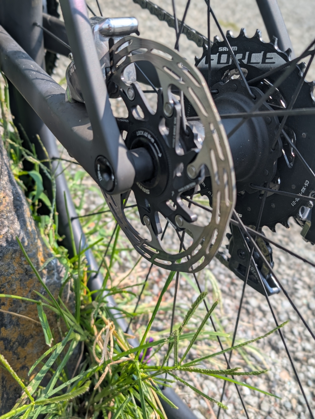 PXL_20250825_025731345.PORTRAIT