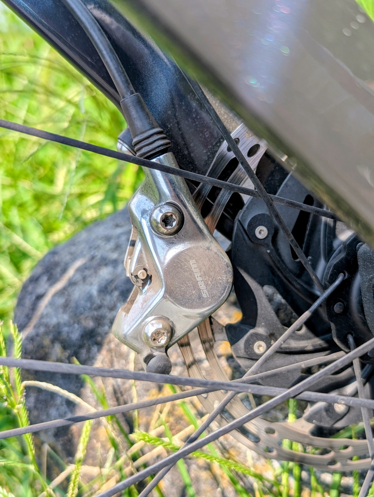 PXL_20250825_025906921.PORTRAIT.ORIGINAL~2