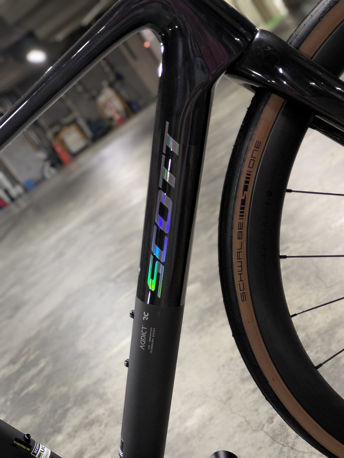 PXL_20251204_093139113.PORTRAIT