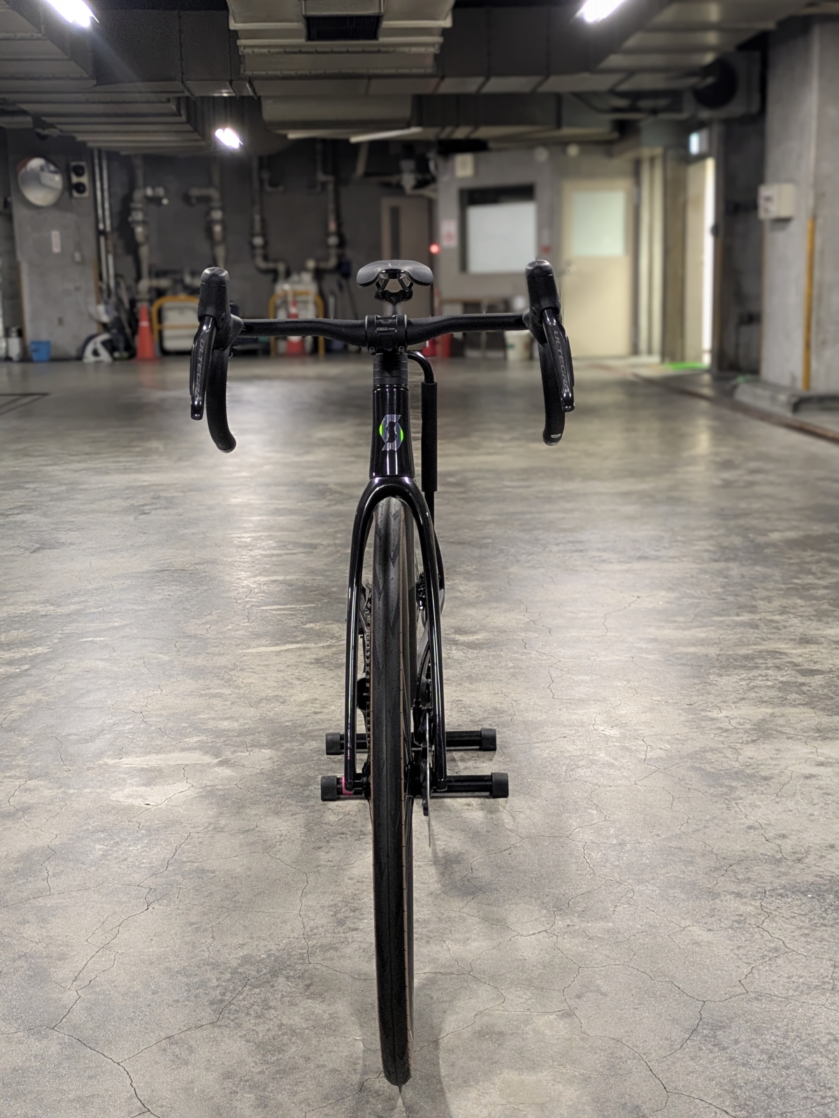 PXL_20251204_093230119.PORTRAIT