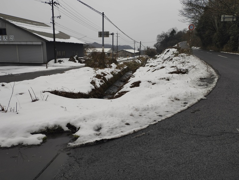 IMG_20260127_131502 (1)