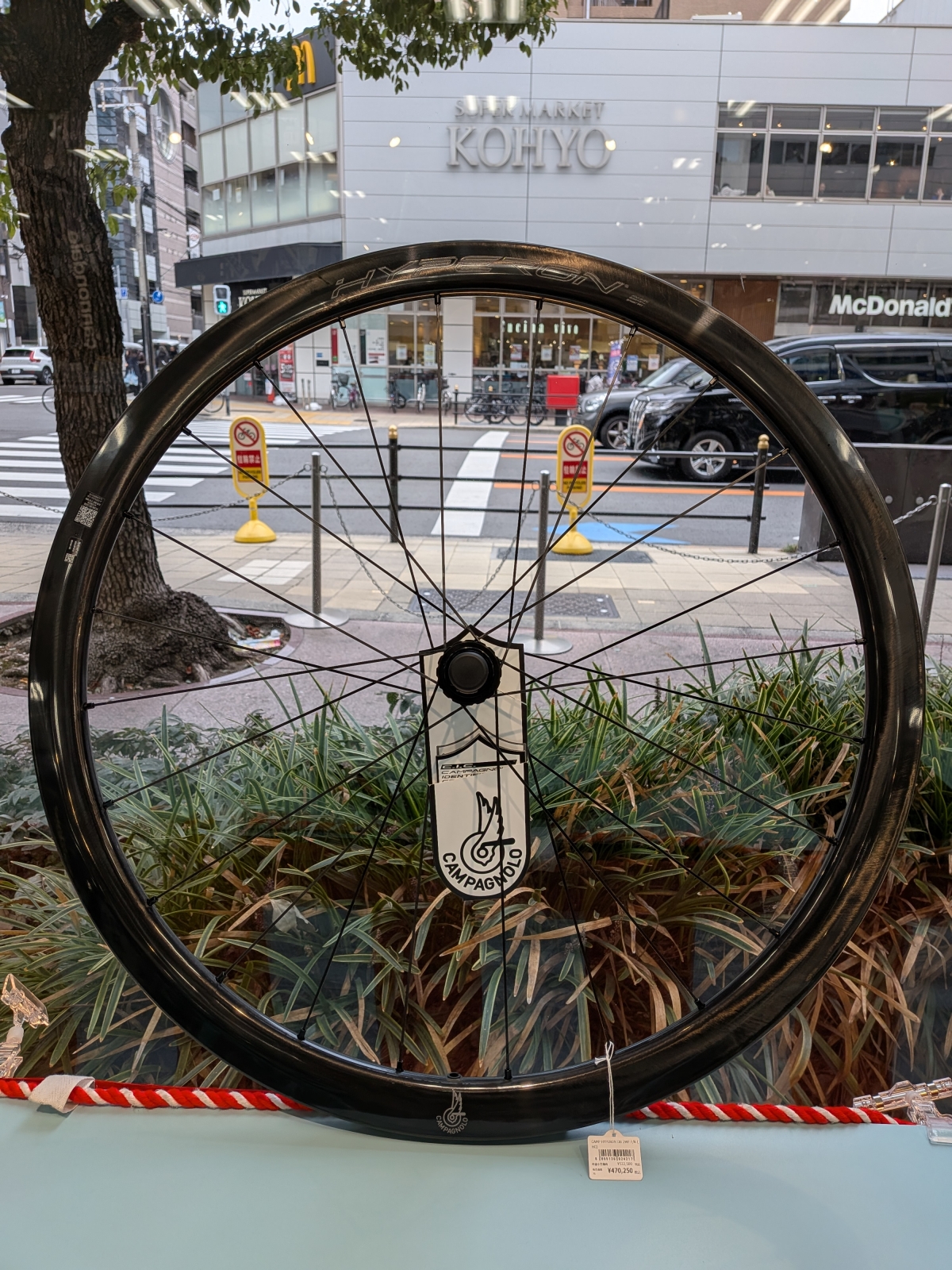 PXL_20260104_034659792