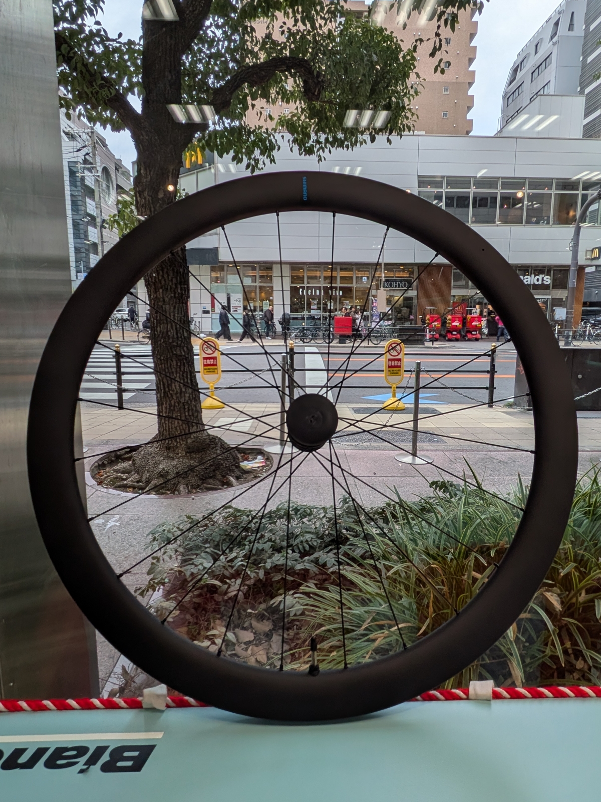 PXL_20260104_040503480