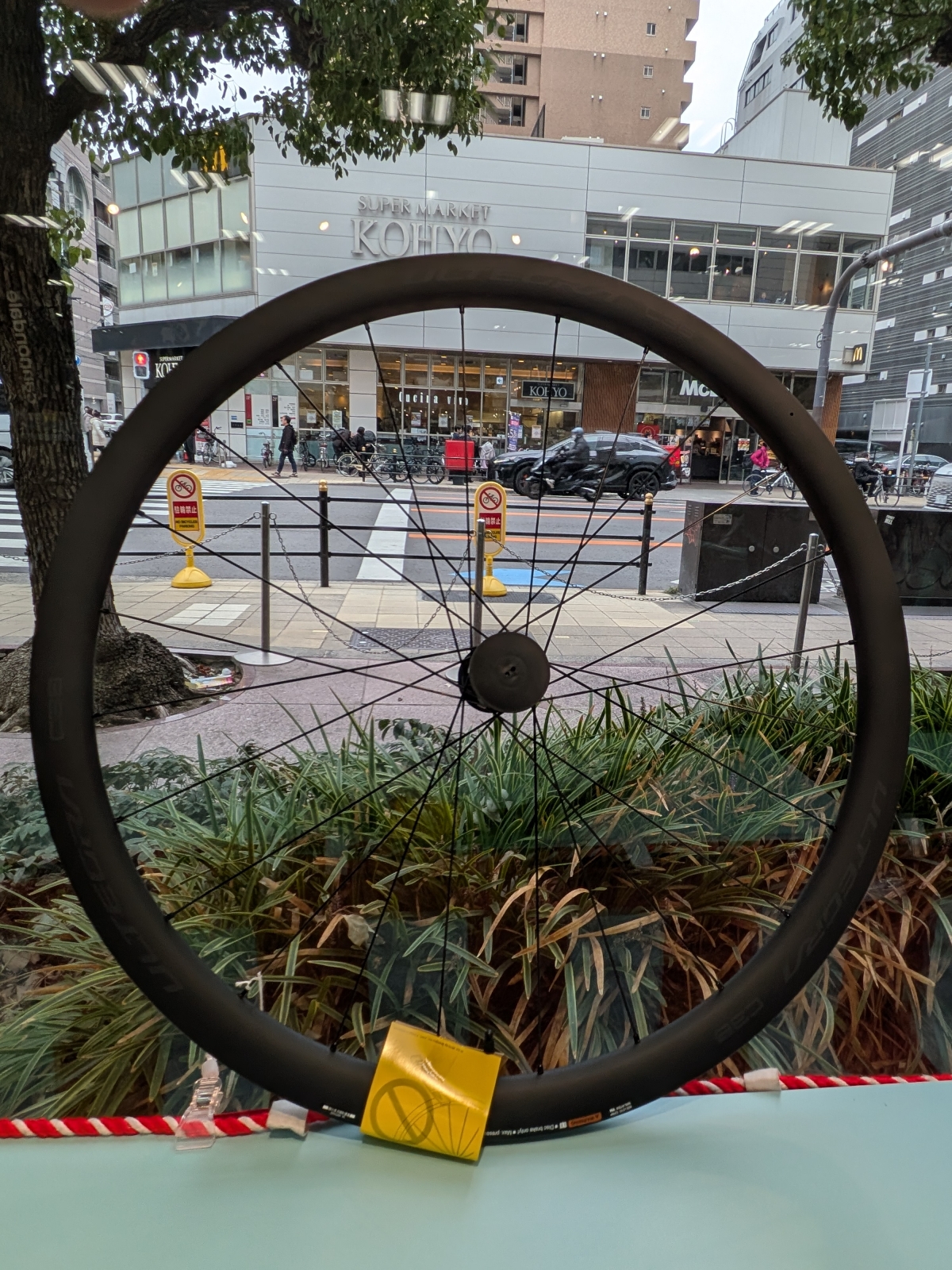 PXL_20260104_040508069.MP