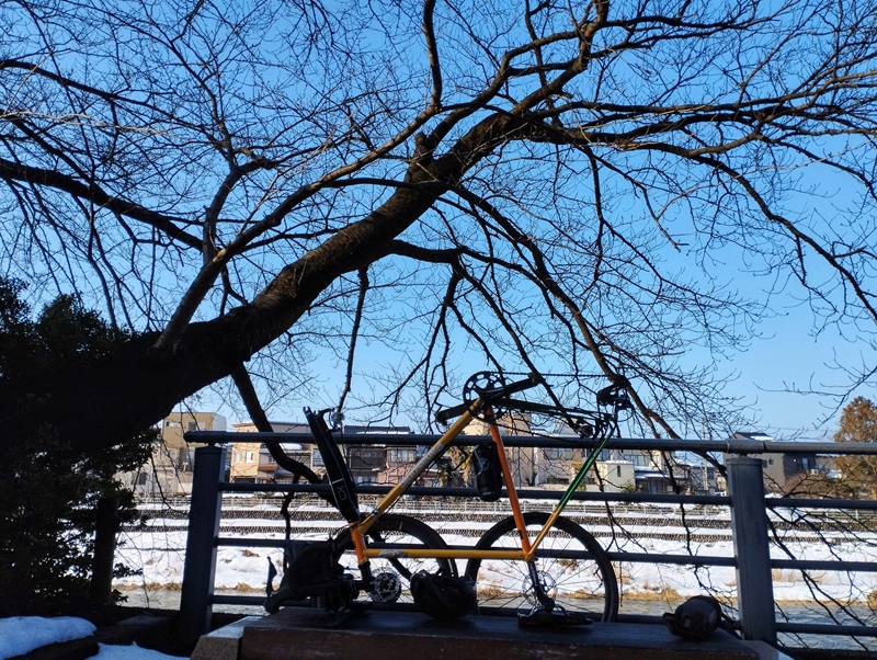 IMG_20260212_082706 (1)