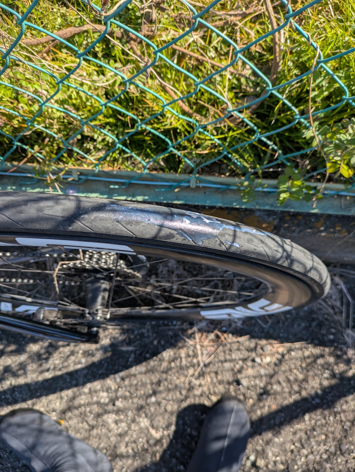 PXL_20260203_014505438