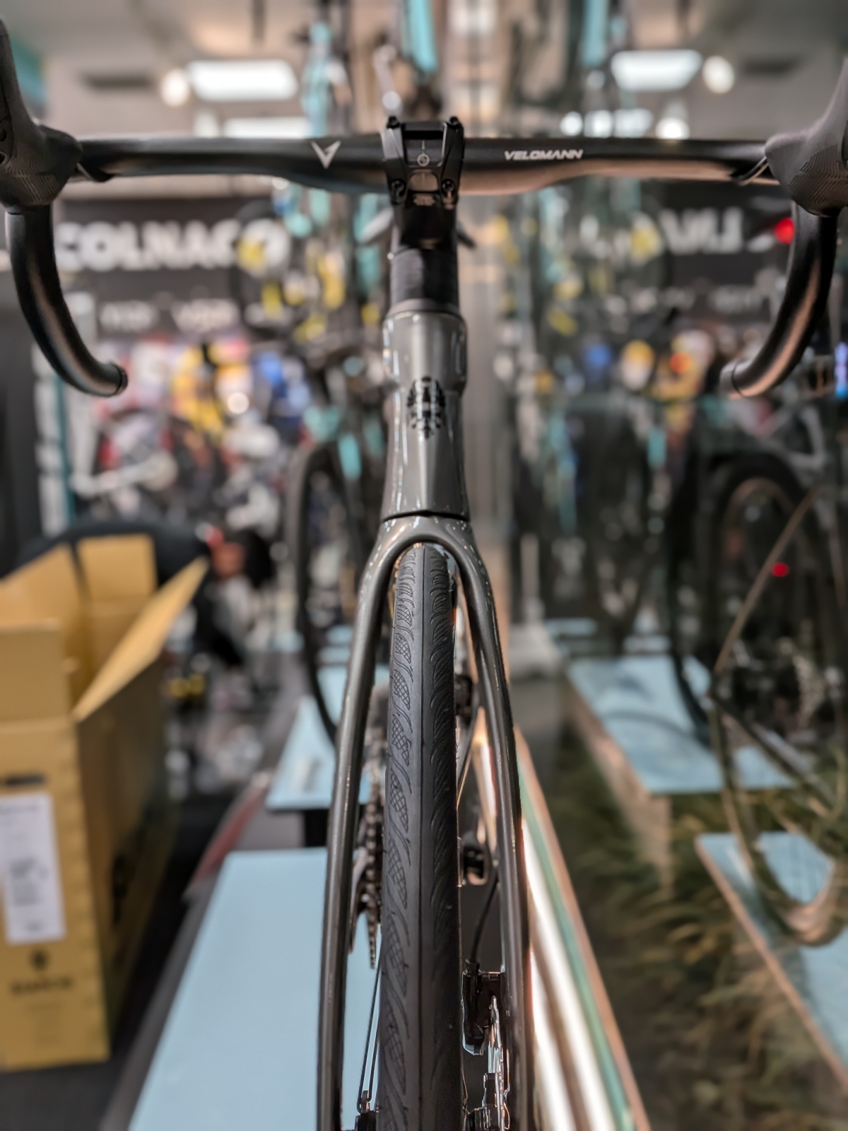 PXL_20260208_091105200.PORTRAIT