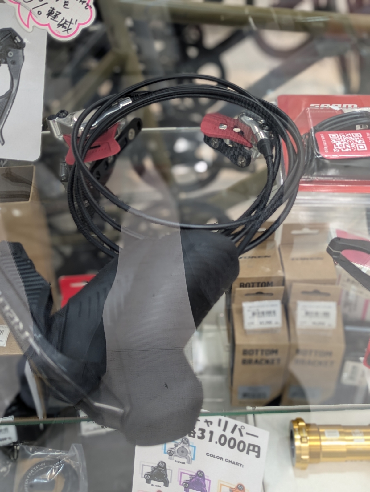 PXL_20260210_070819341.PORTRAIT