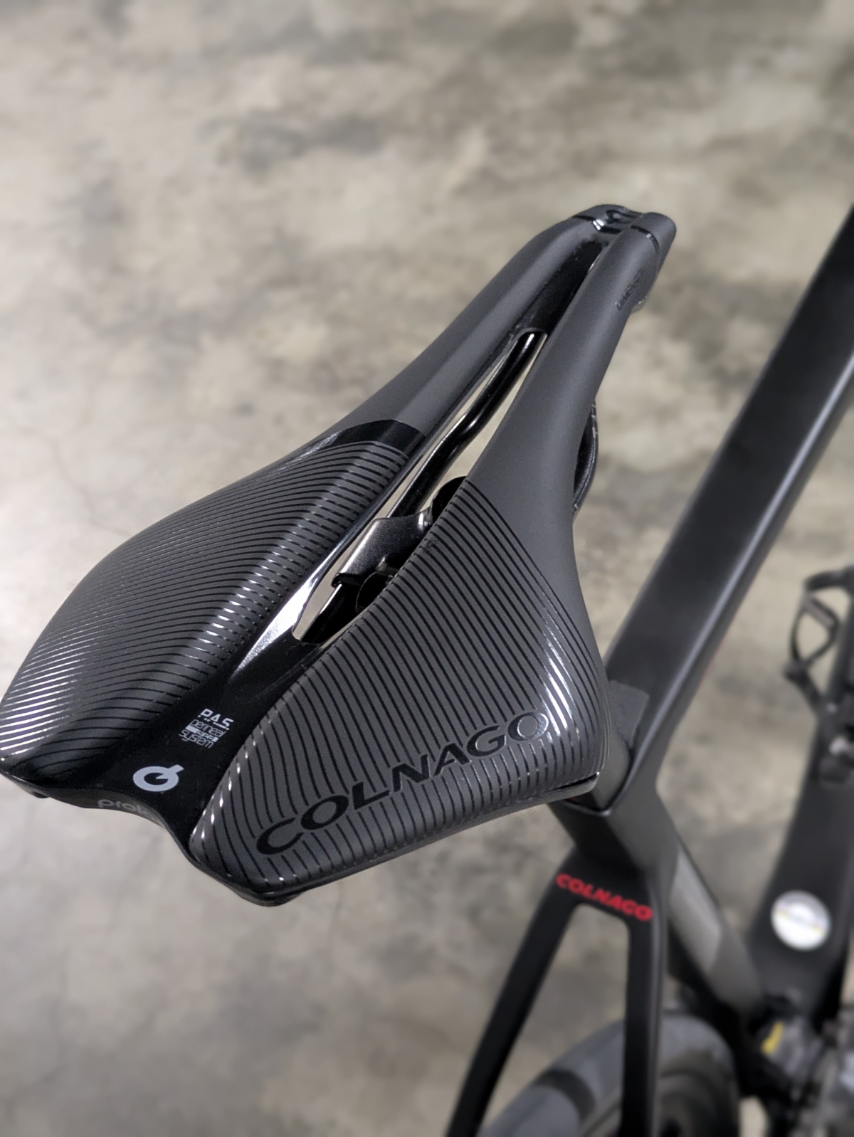 PXL_20260211_090354506.PORTRAIT