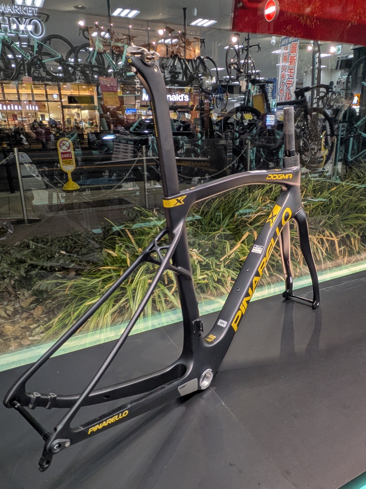 PXL_20260212_093804883.MP