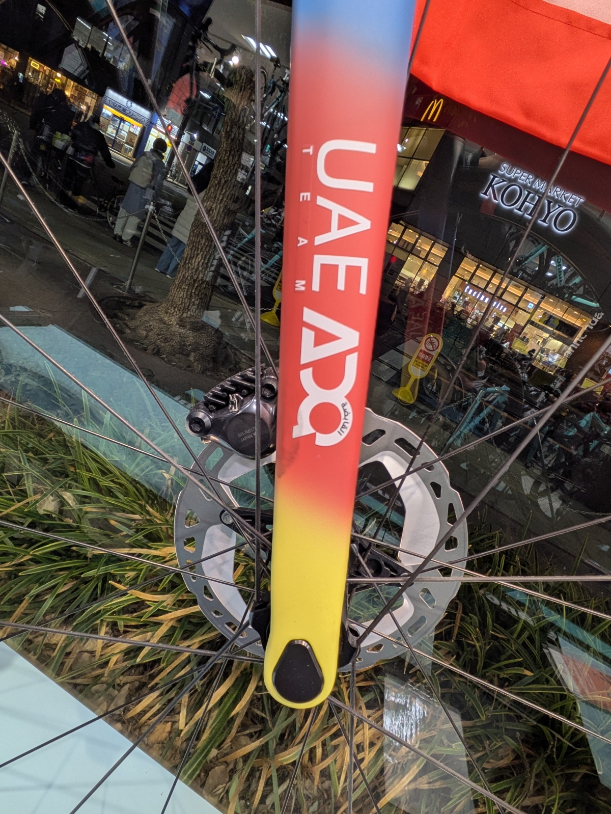 PXL_20260219_092228242