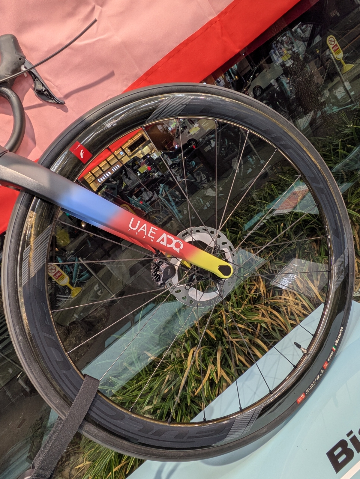 PXL_20260219_092306794