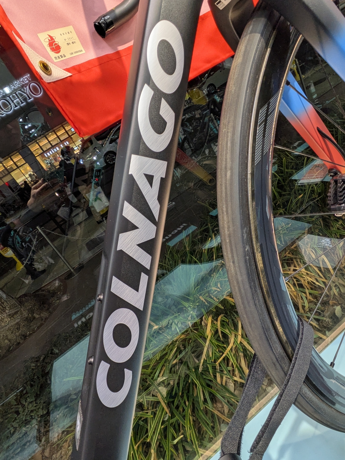 PXL_20260219_092338925