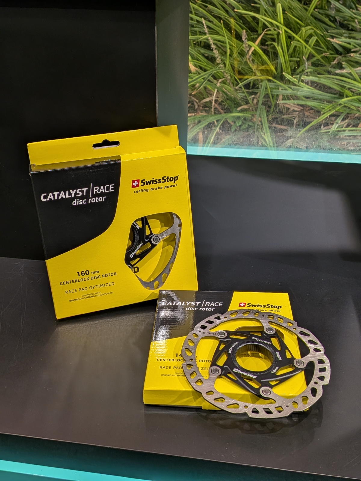 PXL_20260215_105534214