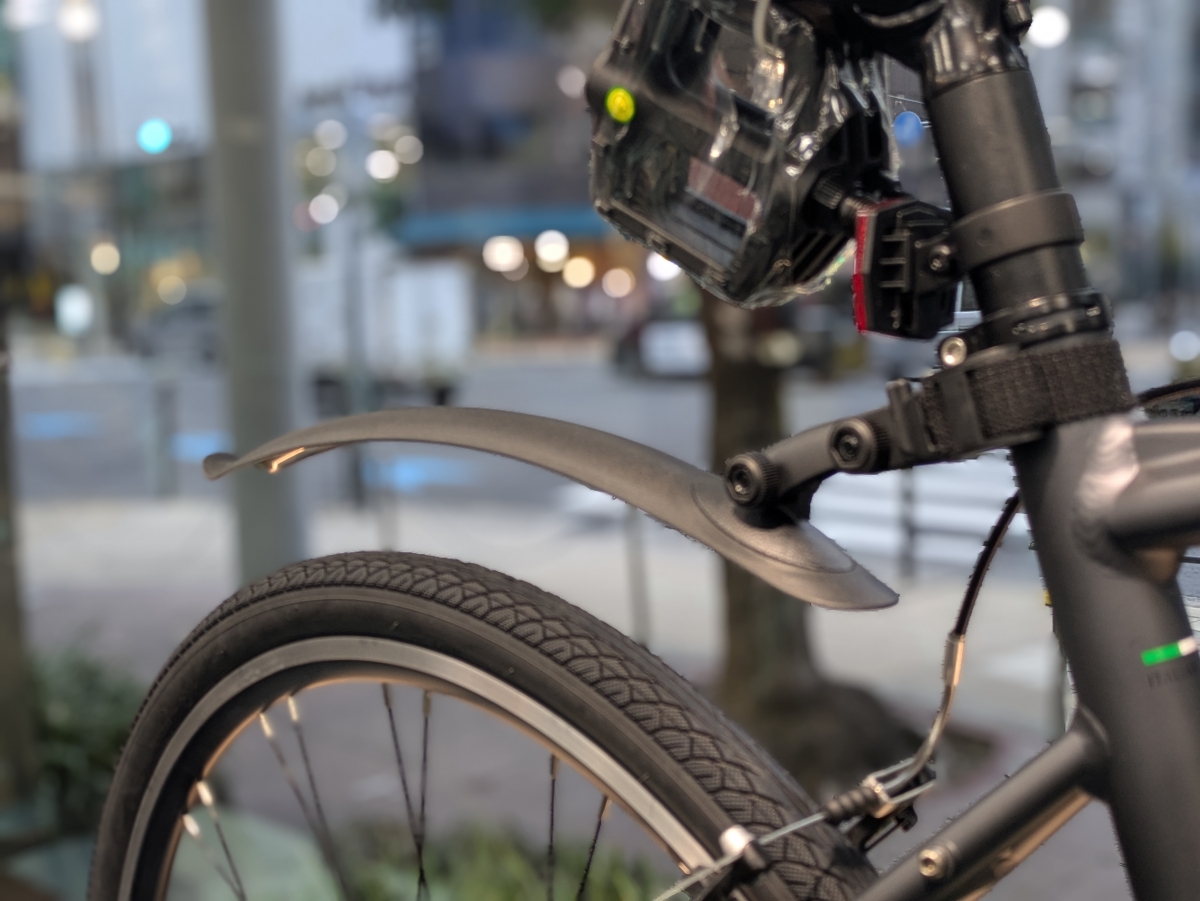 PXL_20260306_080252036.PORTRAIT