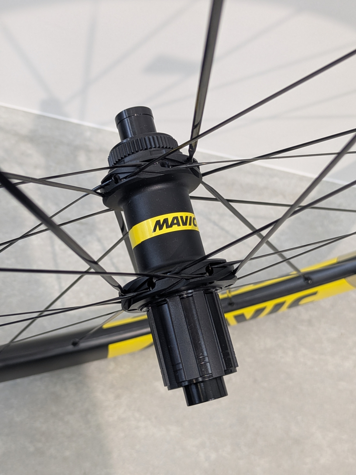 PXL_20260310_063253154.PORTRAIT.ORIGINAL