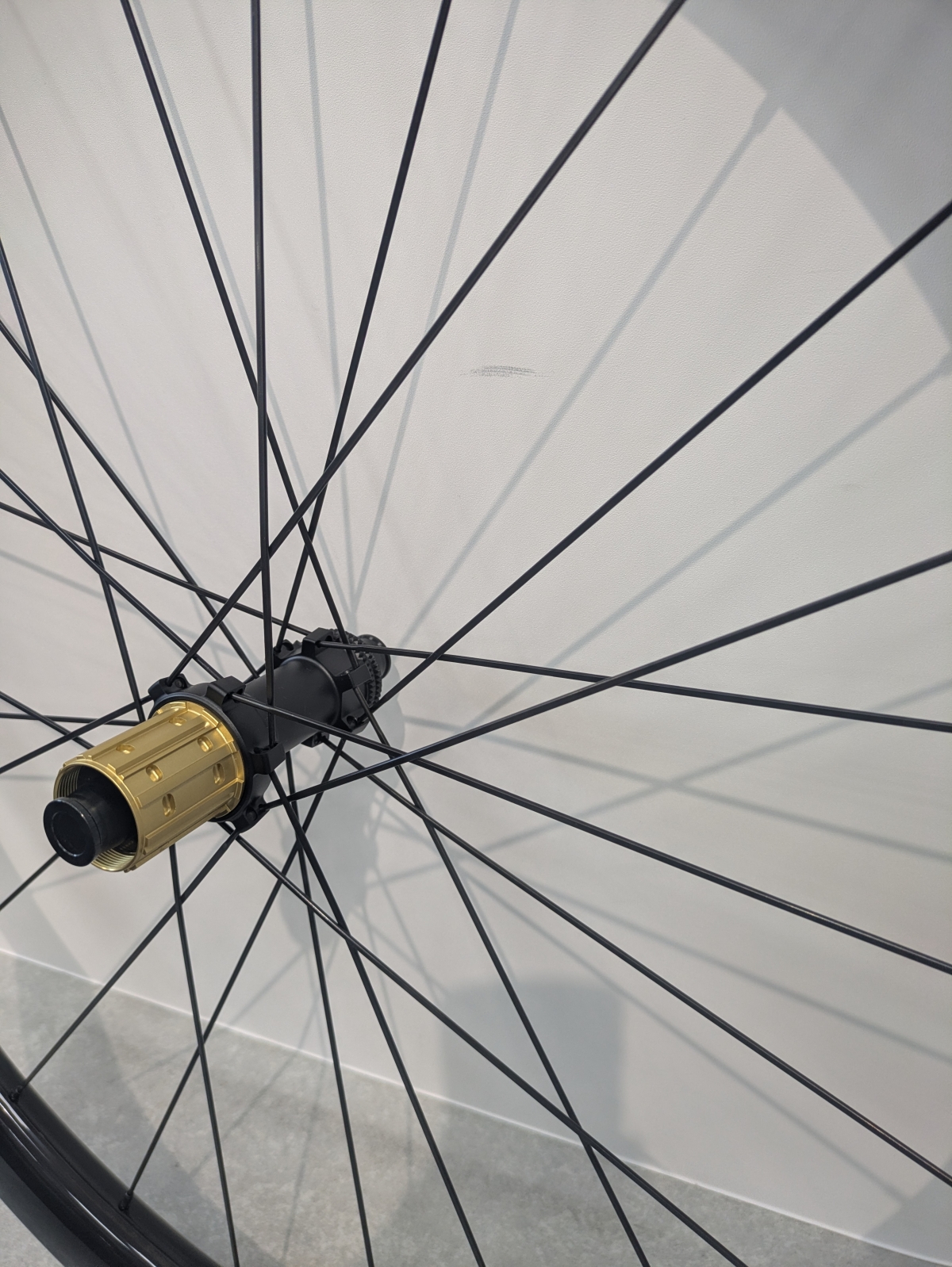 PXL_20260313_064204646