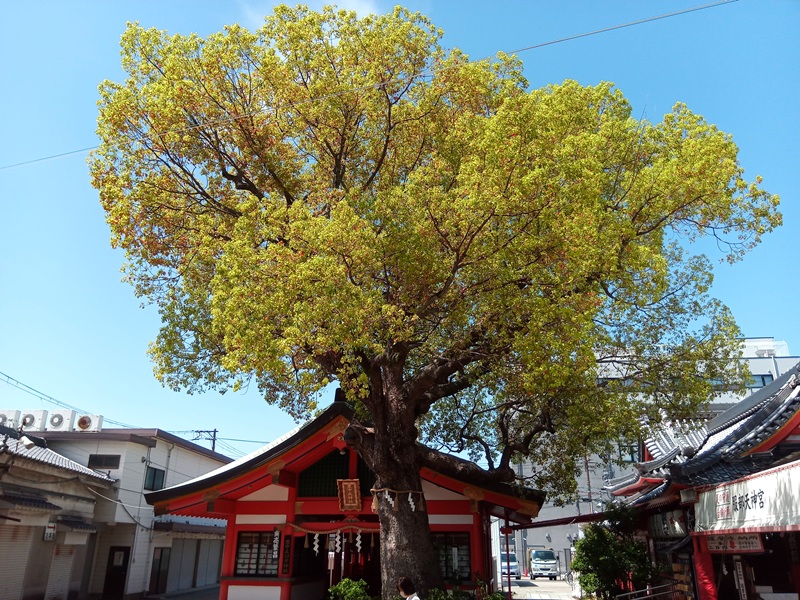 IMG_20260412_112122_9