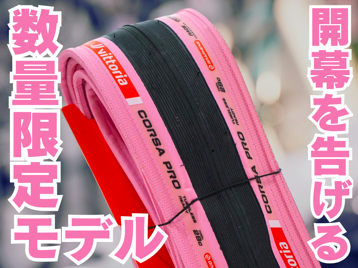 VITTORIA CORSA PRO PINK Special Edition 28c
