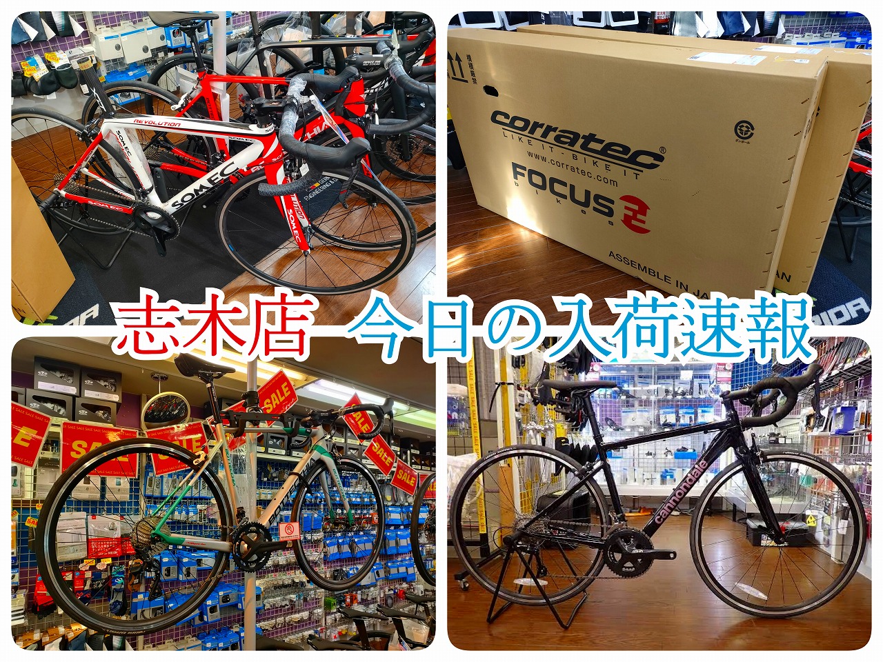 【志木店本日の入荷】BOTTECCHIA, corratec, CANNONDALE, SOMEC | 志木、新座、富士見、川越、所沢、さいたまでスポーツ自転車をお探しならY