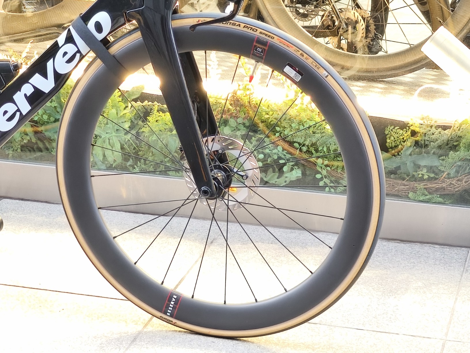 IMG_20250510_170929_copy_1632x1224