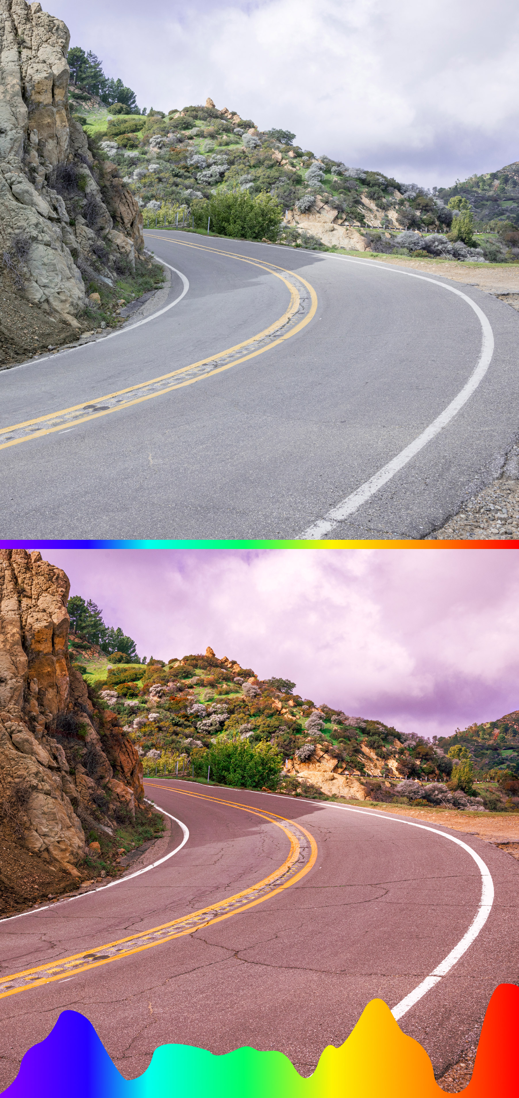 プリズムロード画像