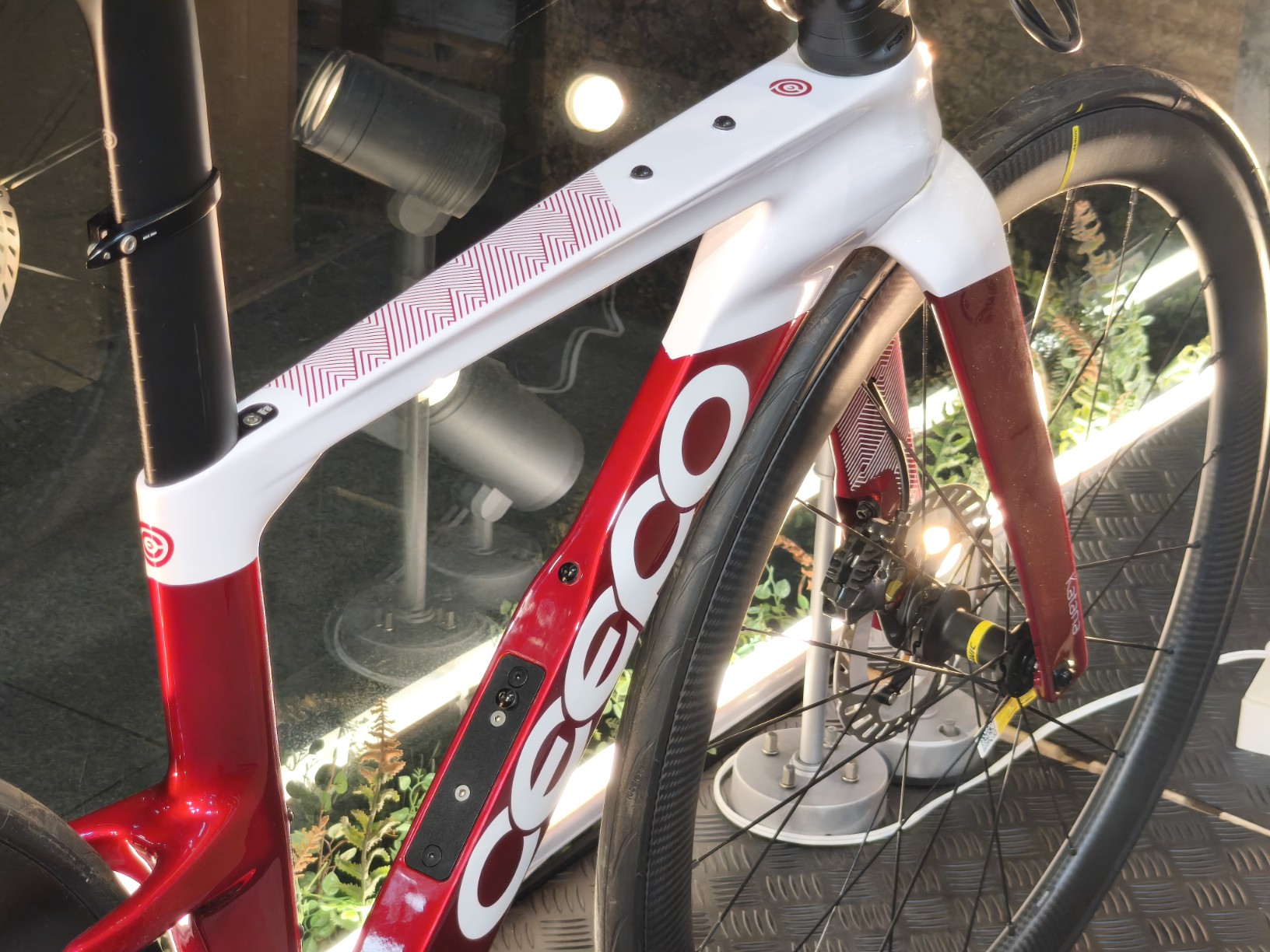 IMG_20251108_165606_copy_1632x1224