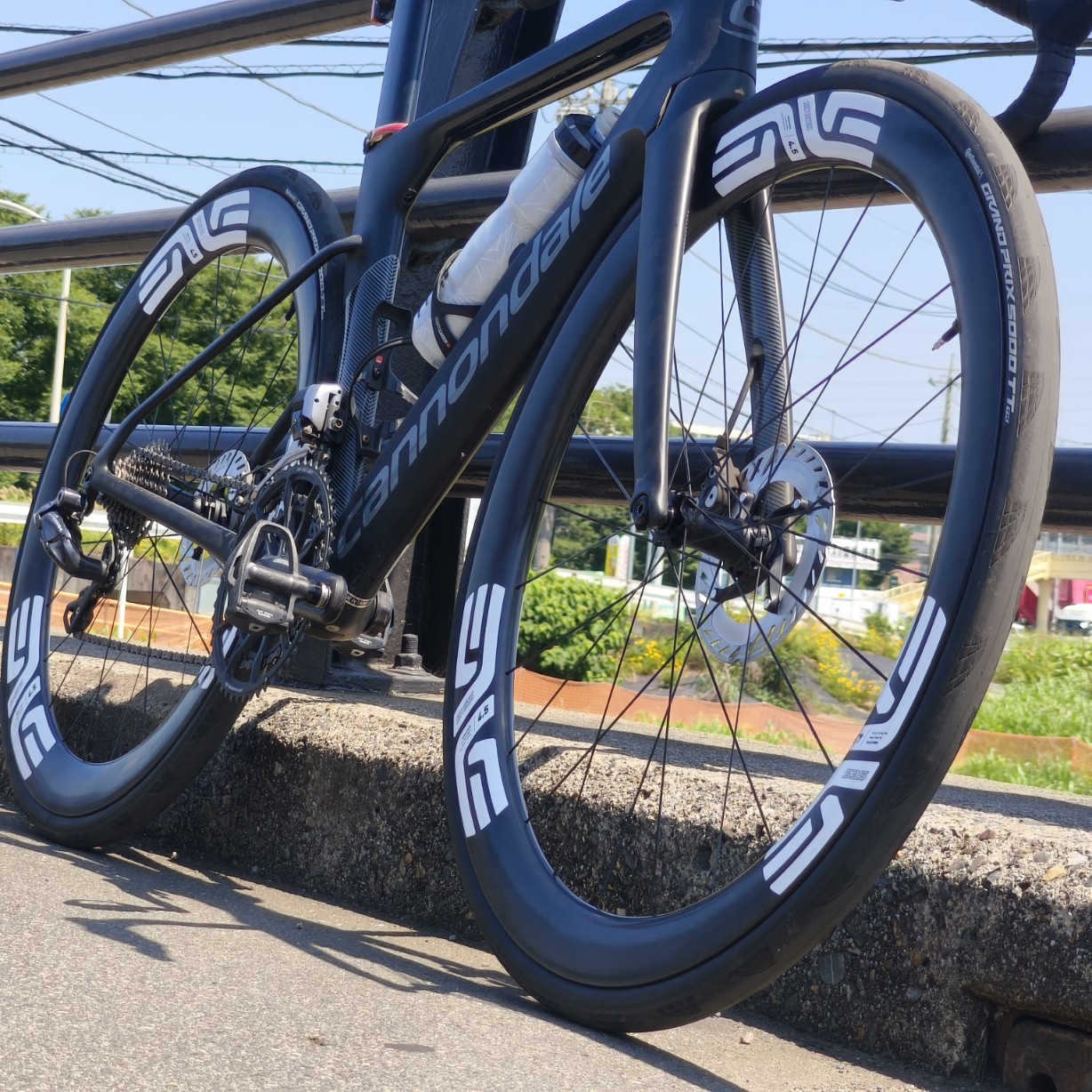 IMG_20250619_095727_copy_1228x1228