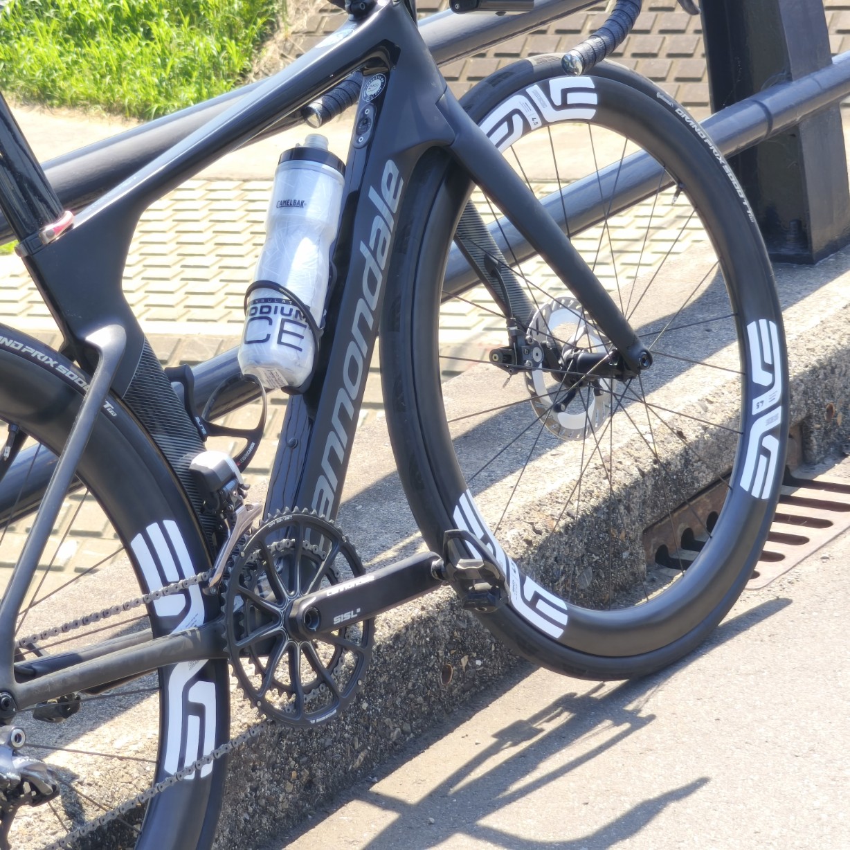 IMG_20250619_095814_copy_1228x1228