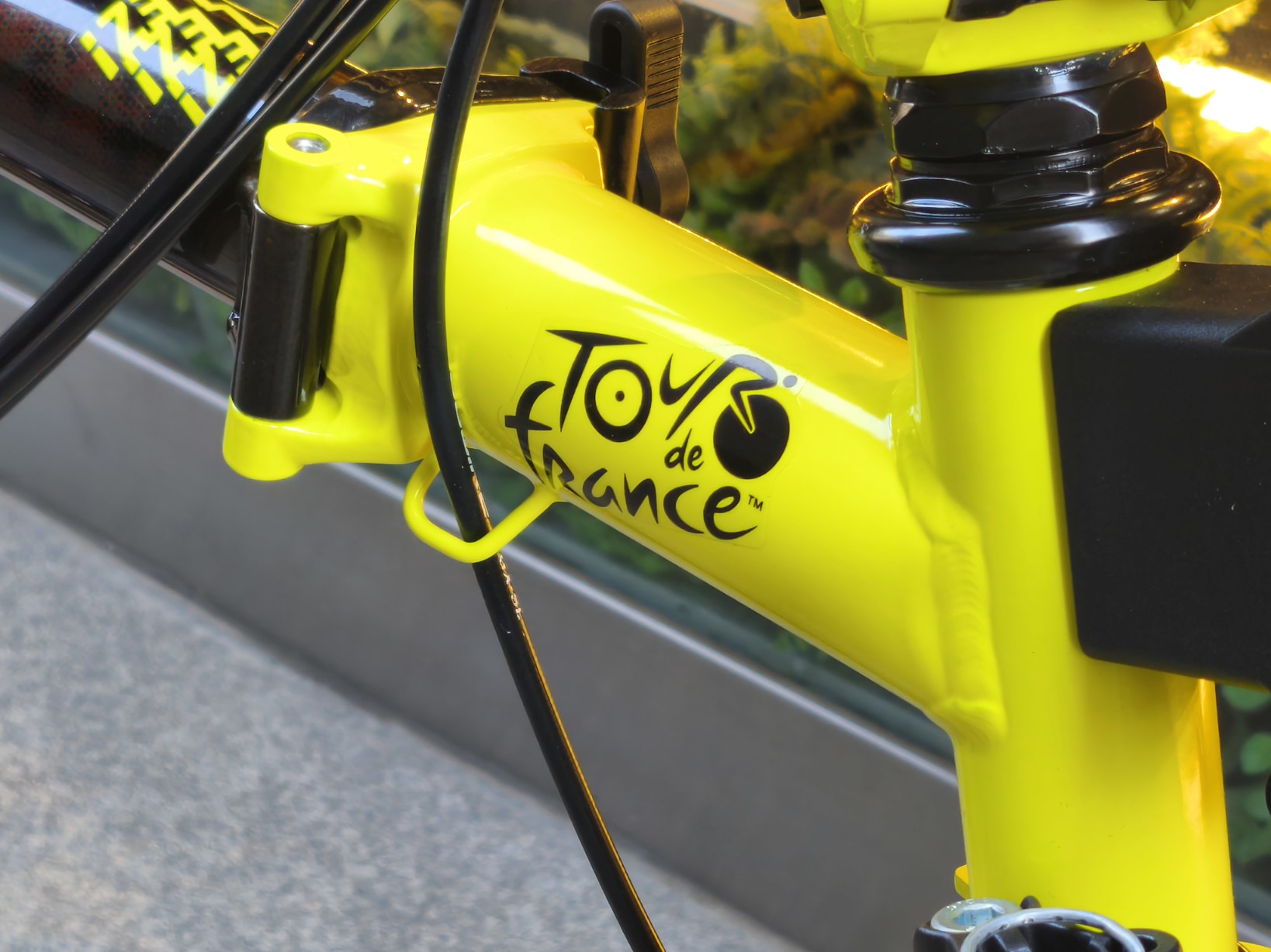 IMG_20250628_135238_copy_1638x1228