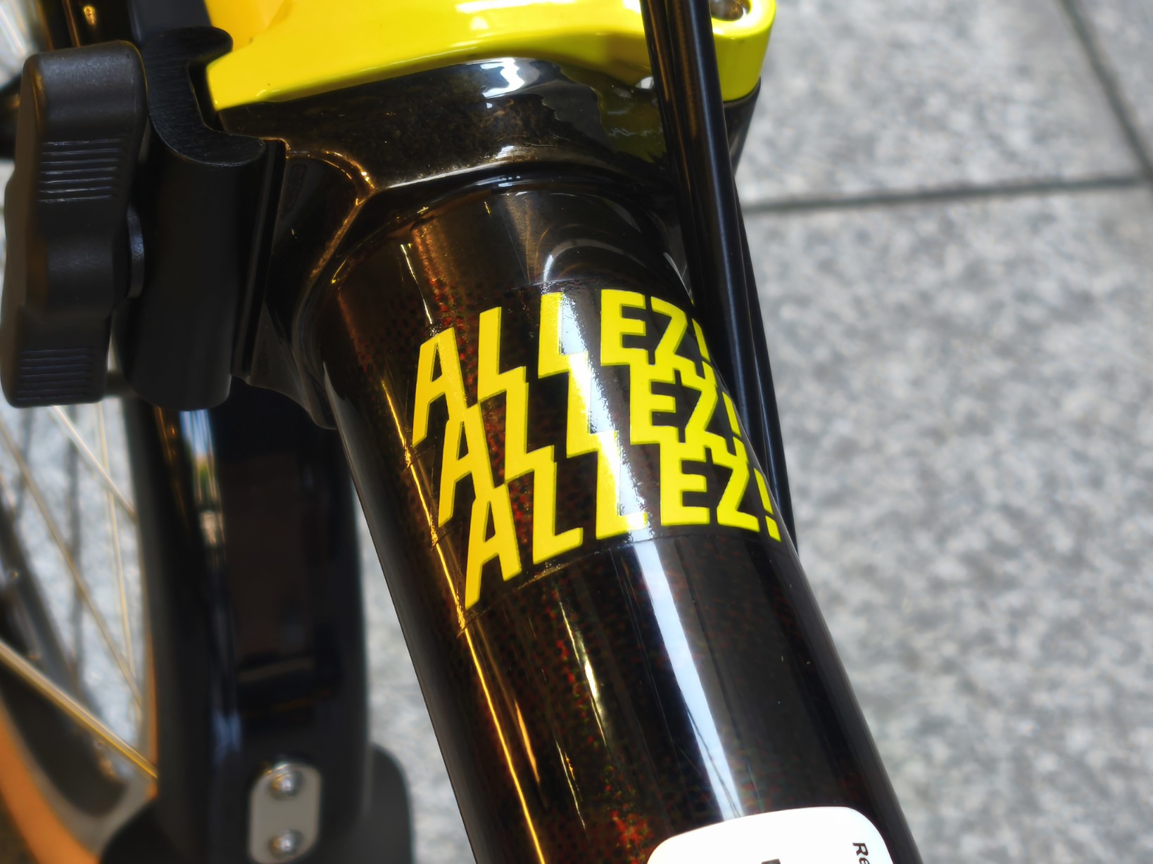 IMG_20250628_135310_copy_1638x1228