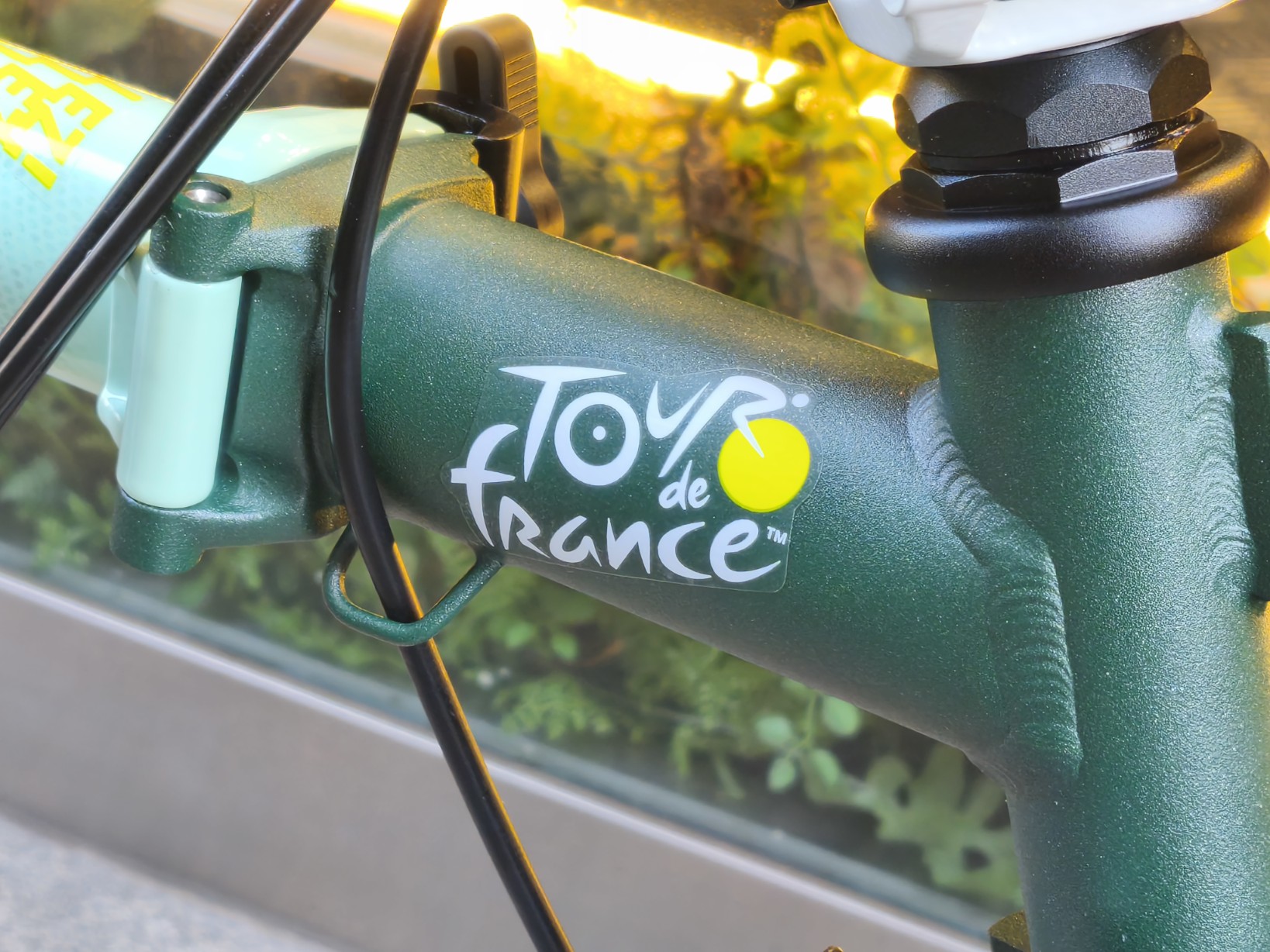 IMG_20250628_135545_copy_1638x1228