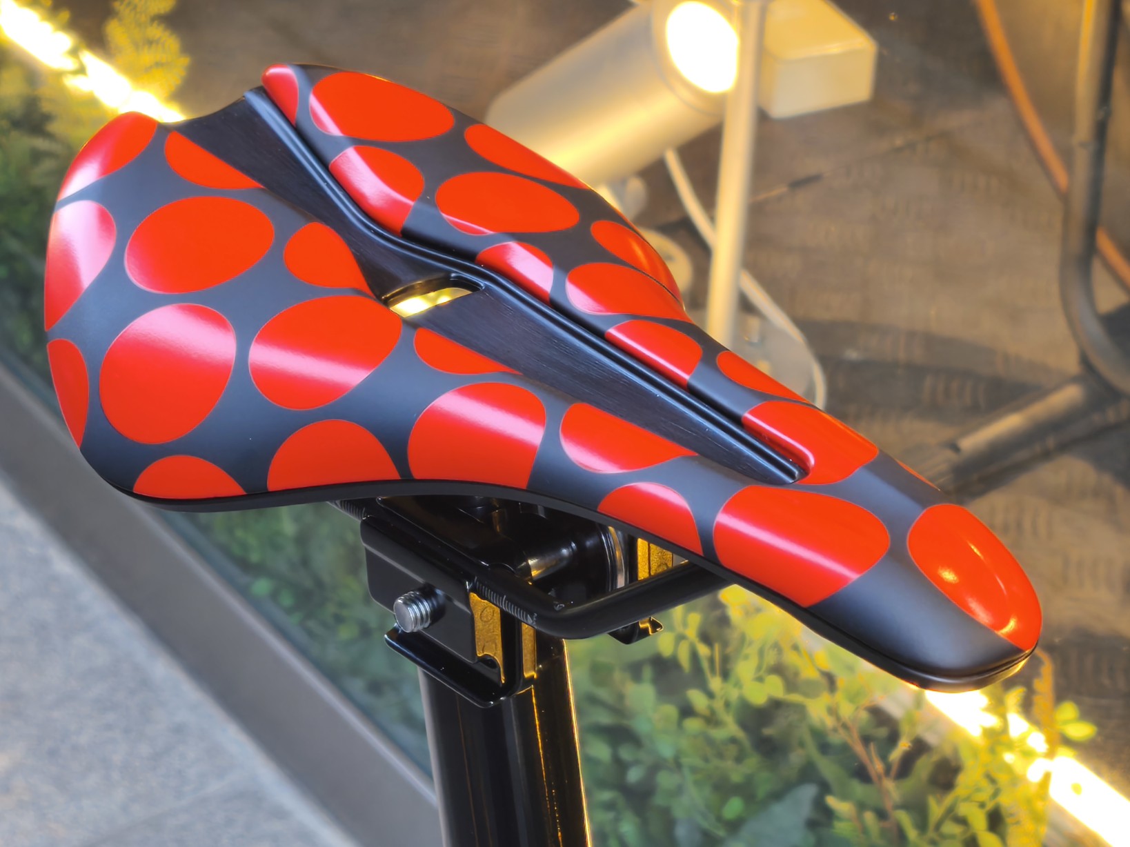 IMG_20250628_135616_copy_1638x1228