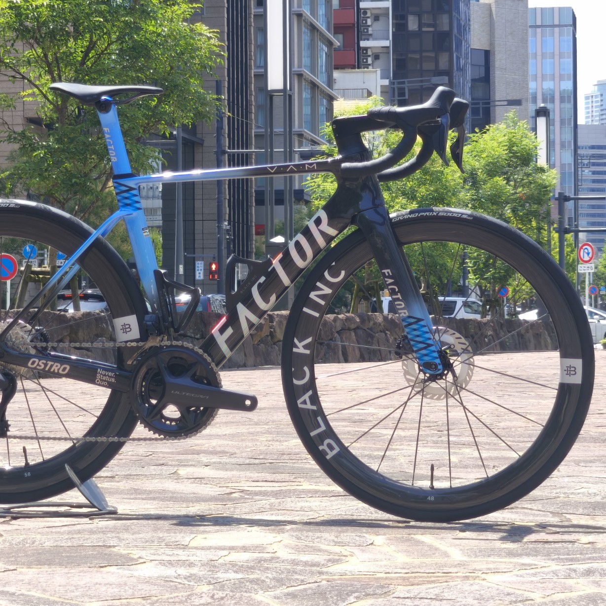 IMG_20250713_125220_copy_1228x1228