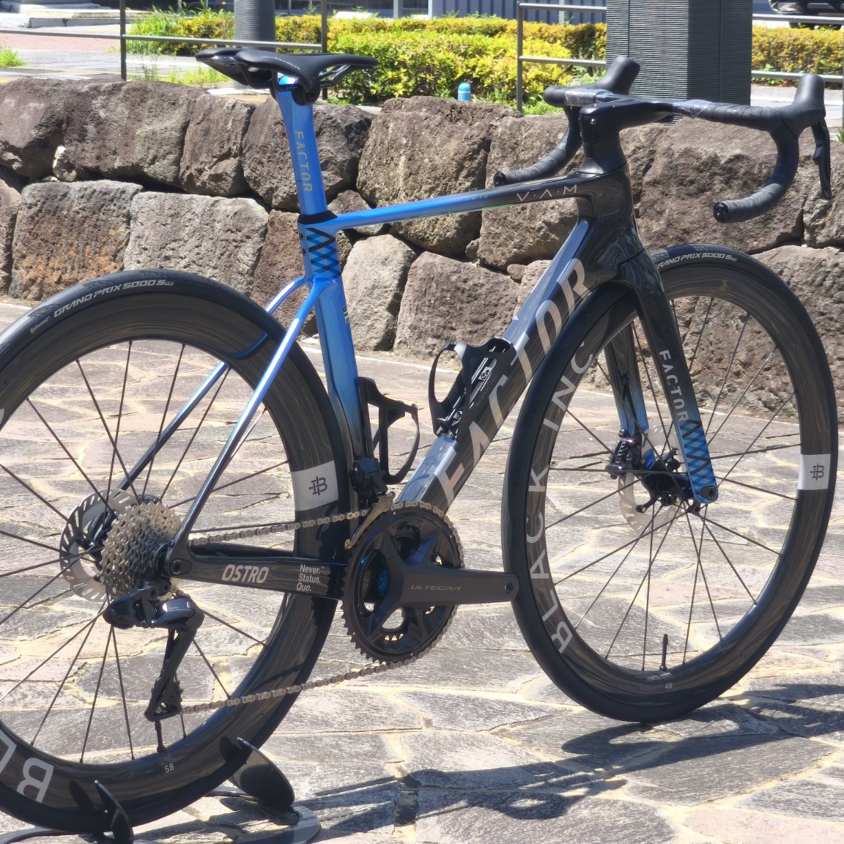 IMG_20250713_125258_copy_1228x1228