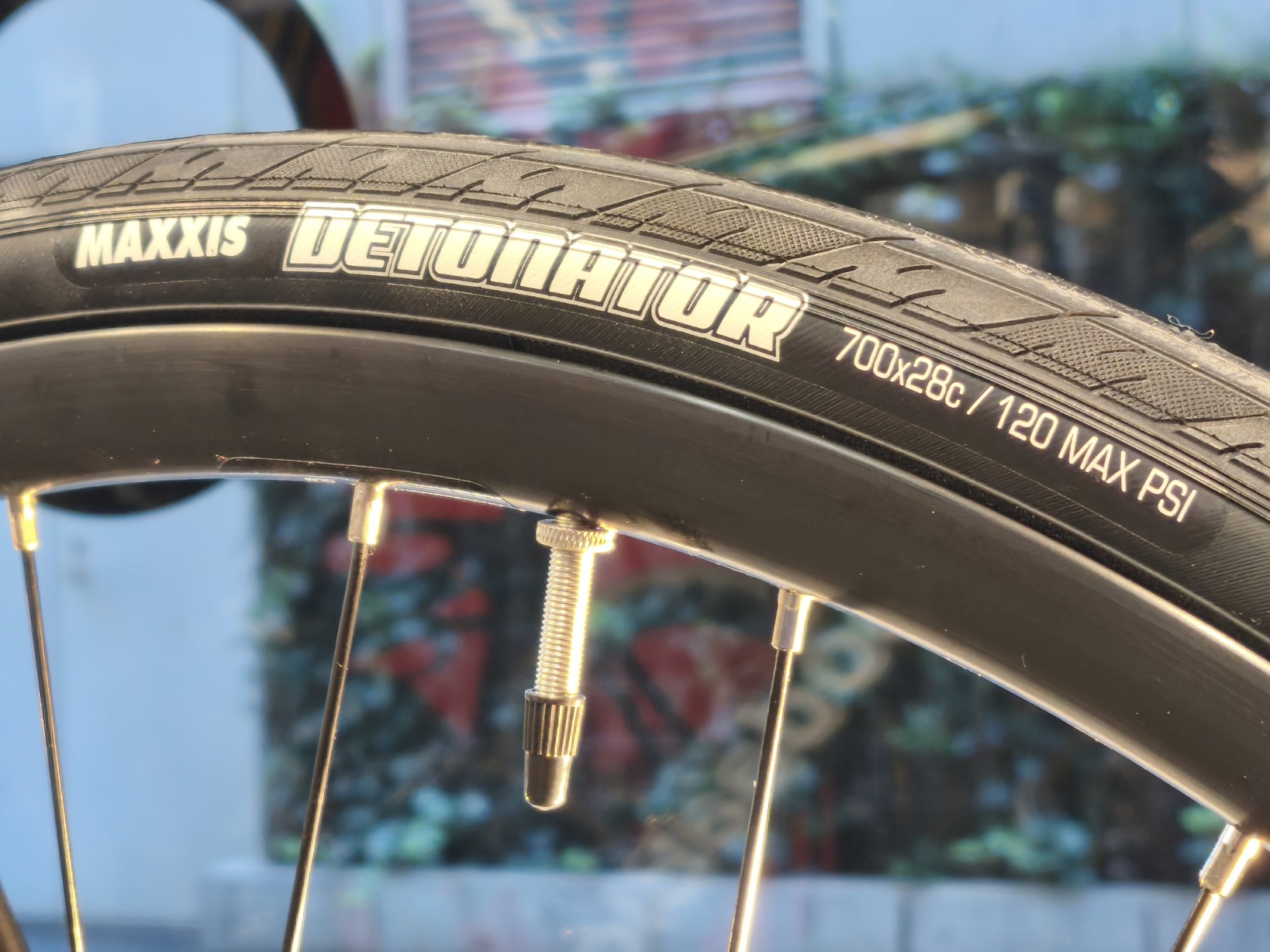 IMG_20250721_134819_copy_1638x1228